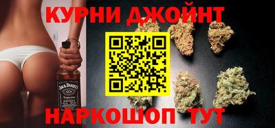 Альфа ПВП Можга