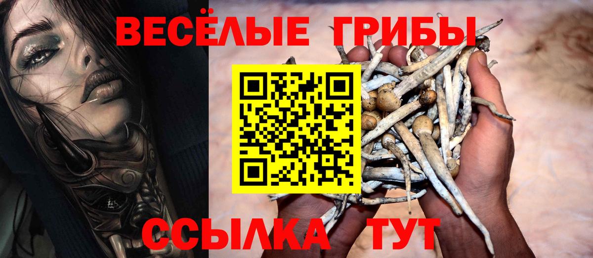 Видное  Галлюциногенные грибы мухоморы  Галлюциногенные грибы прущие грибы  Вход с VPN 